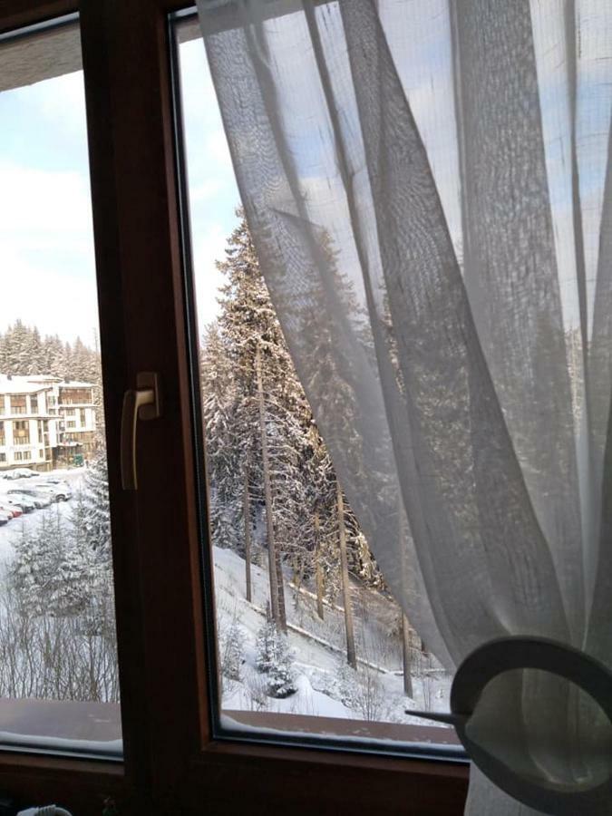 Пампорово Студио Милка В Хотел Росица Exteriér fotografie
